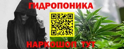 PSILOCYBIN Балаково