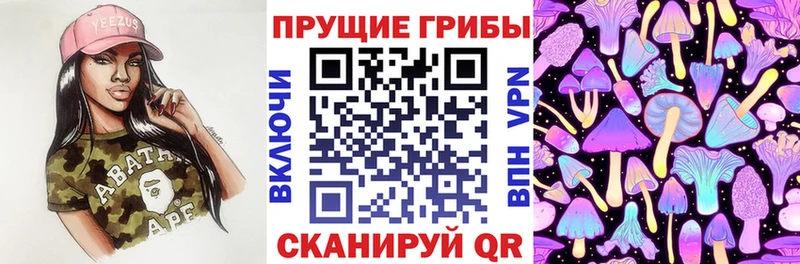 Псилоцибиновые грибы прущие грибы  Кулебаки 