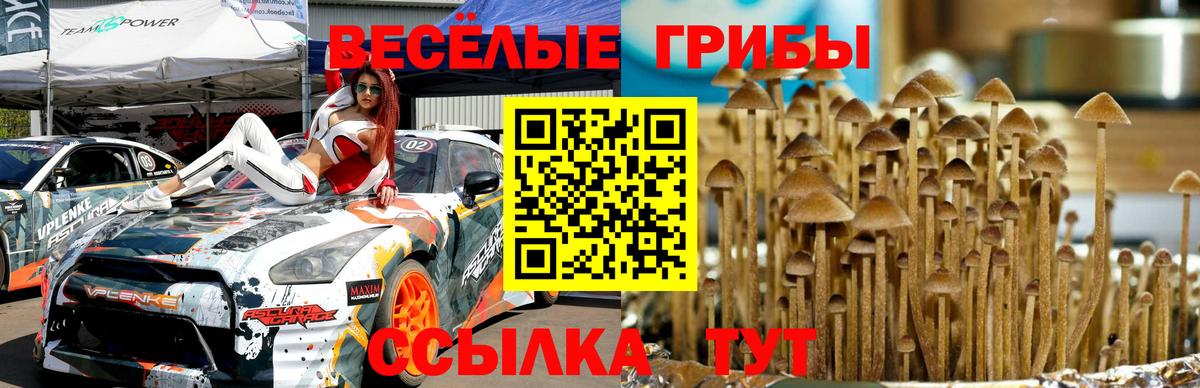 Псилоцибиновые грибы мицелий  Кулебаки 