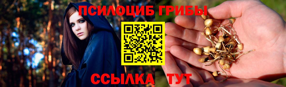 Галлюциногенные грибы мицелий Кулебаки